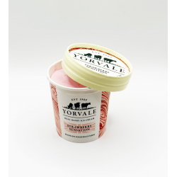 Yorvale Stawberry 24x120ml