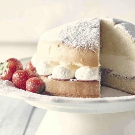 22045 CSM Complete Sponge Mix 12.5kg