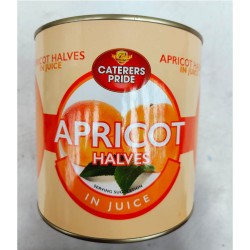 CP APRICOT HALVES in JUICE 1 X 2500g	