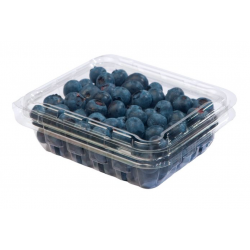 Blueberry 1 Punnet
