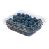 Blueberry 1 Punnet