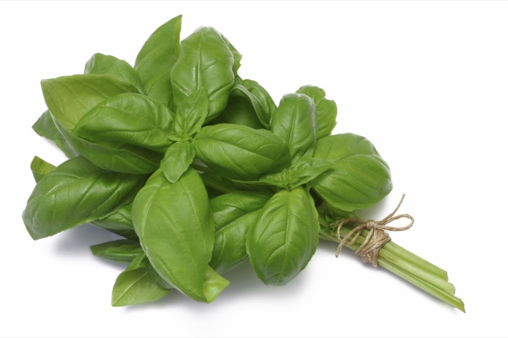 Prepacked Fresh Basil 100GR
