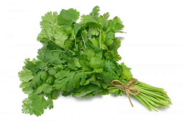 Bunch of Fresh Coriander Leaves 185g