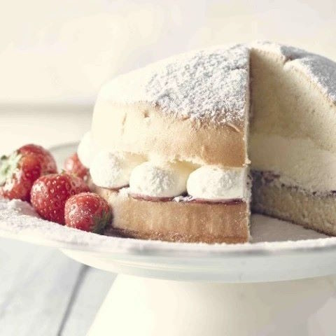 22045 CSM Complete Sponge Mix 12.5kg