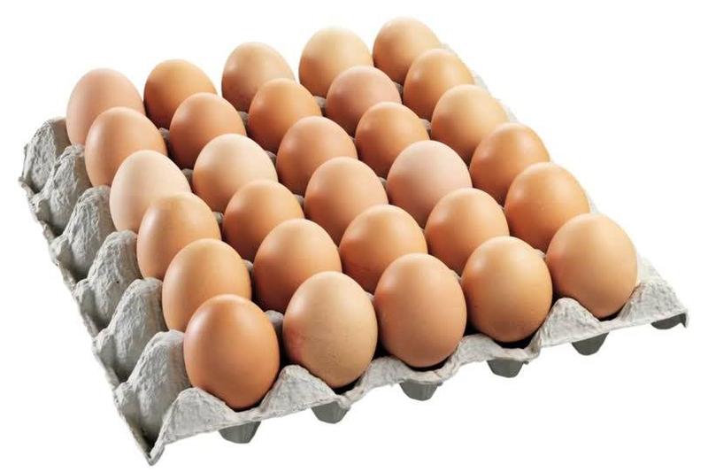 Large Egg Tray (1 tray x 30)
