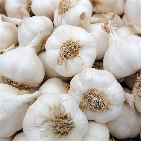 Garlic Fresh Loose Sack 3.5kg