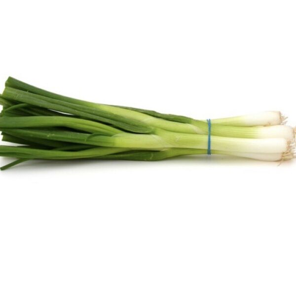 Bunch of Spring Onions