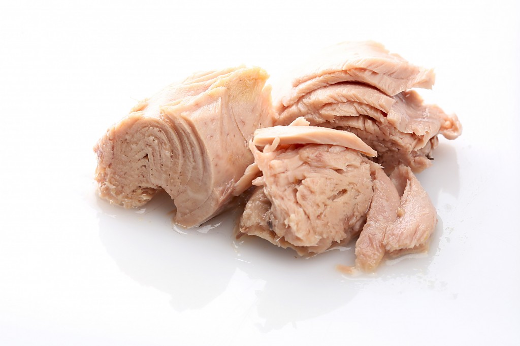 Tuna Pouch in Brine 1x3000gr