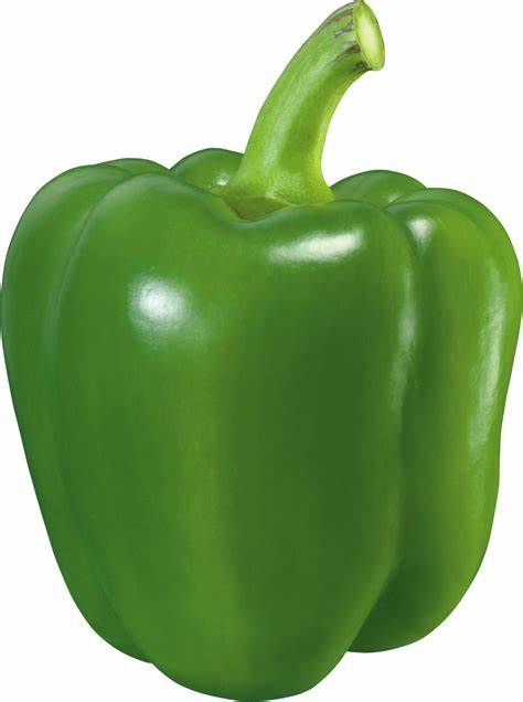GREEN PEPPER 1 PCS