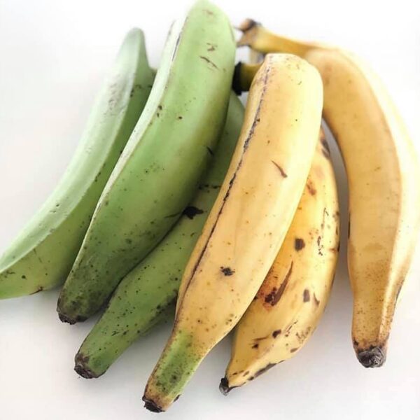 Plantain Banana box